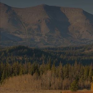 Meet your Posher, Erasmo